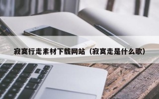 山东寂寞行走素材下载网站（寂寞走是什么歌）